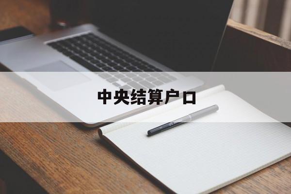 中央结算户口(中央结算中心是什么)